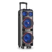 Coluna 300W Duplo Subwoofer 8